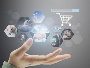 2019年兩大商機 互聯(lián)網(wǎng)信息服務(wù)助力普通人收入翻倍增長