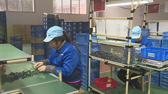 澤瀚實(shí)業(yè) 項(xiàng)目生產(chǎn)忙，平面設(shè)計(jì)鑄就品牌新篇章